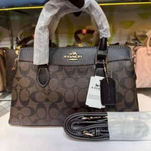 mini darcie carryall bag
